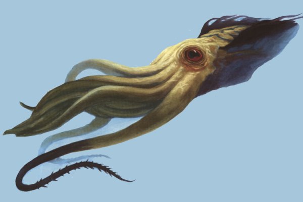 Kraken сайт вход