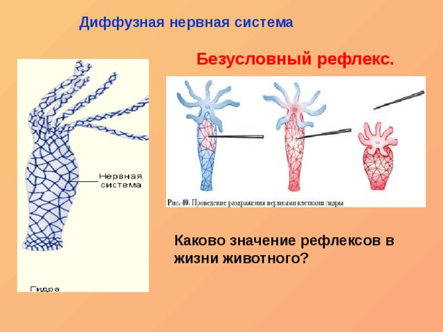 Кракен маркетплейс ссылка krakenat2krnkrnk com