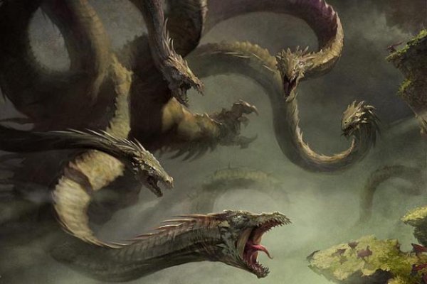 Kraken forum