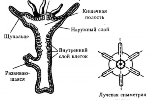 Как войти на сайт кракен